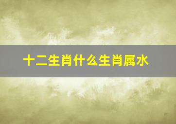 十二生肖什么生肖属水