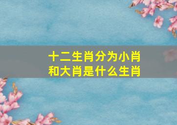 十二生肖分为小肖和大肖是什么生肖