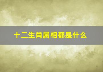 十二生肖属相都是什么