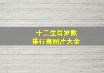 十二生肖岁数排行表图片大全