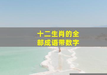 十二生肖的全部成语带数字