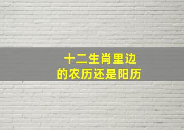 十二生肖里边的农历还是阳历