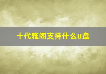 十代雅阁支持什么u盘