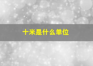 十米是什么单位