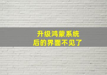 升级鸿蒙系统后的界面不见了