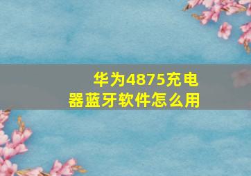 华为4875充电器蓝牙软件怎么用