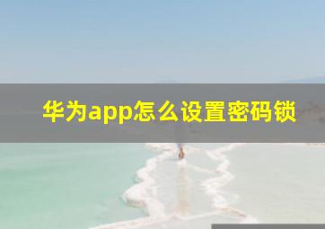 华为app怎么设置密码锁