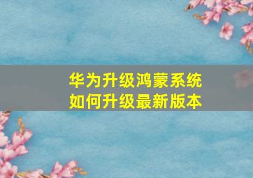 华为升级鸿蒙系统如何升级最新版本