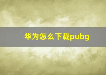 华为怎么下载pubg