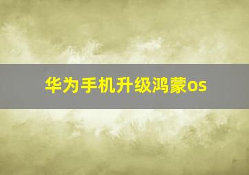 华为手机升级鸿蒙os