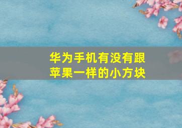 华为手机有没有跟苹果一样的小方块