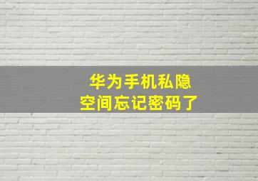 华为手机私隐空间忘记密码了