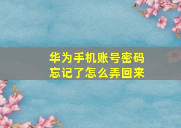 华为手机账号密码忘记了怎么弄回来