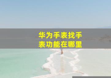 华为手表找手表功能在哪里