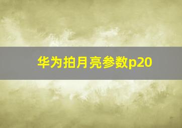 华为拍月亮参数p20