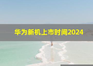 华为新机上市时间2024