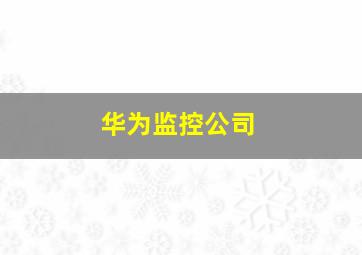 华为监控公司