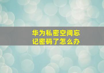 华为私密空间忘记密码了怎么办