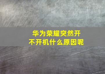 华为荣耀突然开不开机什么原因呢