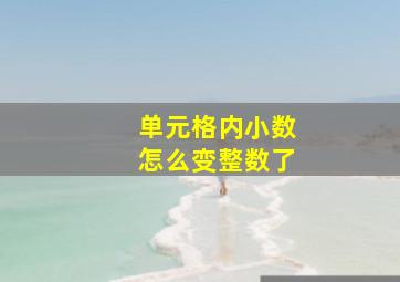 单元格内小数怎么变整数了