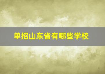 单招山东省有哪些学校