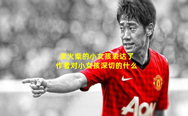 卖火柴的小女孩表达了作者对小女孩深切的什么