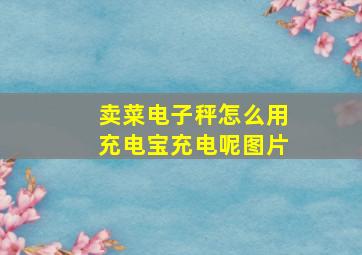 卖菜电子秤怎么用充电宝充电呢图片