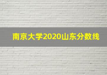 南京大学2020山东分数线