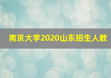 南京大学2020山东招生人数