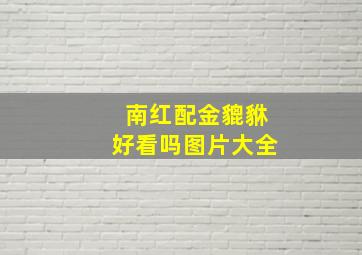 南红配金貔貅好看吗图片大全