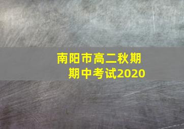 南阳市高二秋期期中考试2020