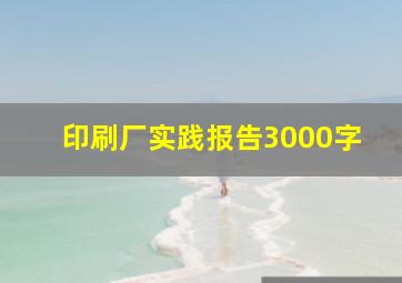 印刷厂实践报告3000字