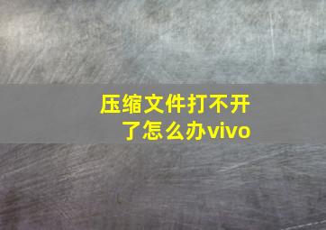 压缩文件打不开了怎么办vivo