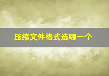 压缩文件格式选哪一个