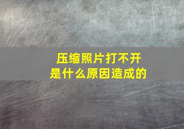 压缩照片打不开是什么原因造成的