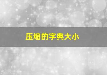 压缩的字典大小