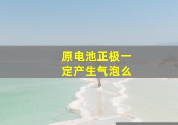 原电池正极一定产生气泡么