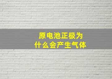 原电池正极为什么会产生气体