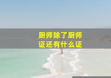 厨师除了厨师证还有什么证