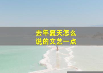 去年夏天怎么说的文艺一点