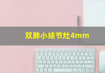 双肺小结节灶4mm