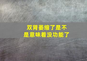 双肾萎缩了是不是意味着没功能了