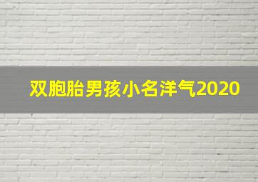 双胞胎男孩小名洋气2020