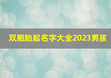 双胞胎起名字大全2023男孩