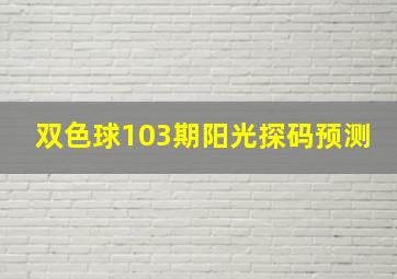 双色球103期阳光探码预测