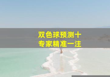 双色球预测十专家精准一注