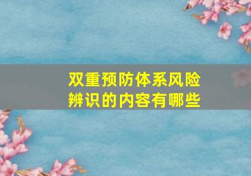 双重预防体系风险辨识的内容有哪些