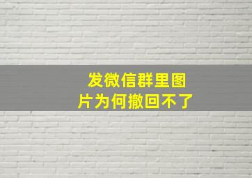 发微信群里图片为何撤回不了