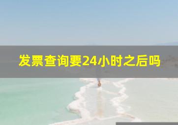 发票查询要24小时之后吗