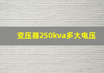 变压器250kva多大电压